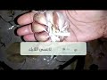 طريقة تكبير المؤخرة في أسبو ع فقط