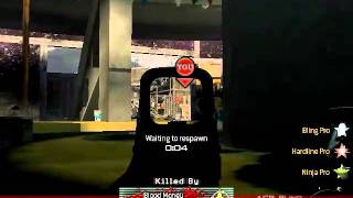 iw4mp dat 20100927 1046221