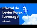 L'EFFET DE LEVIER EXPLIQUÉ AUX DÉBUTANTS - YouTube