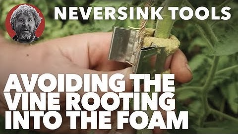 Avoiding the Vine Rooting into the Foam of the Qlipr Clip