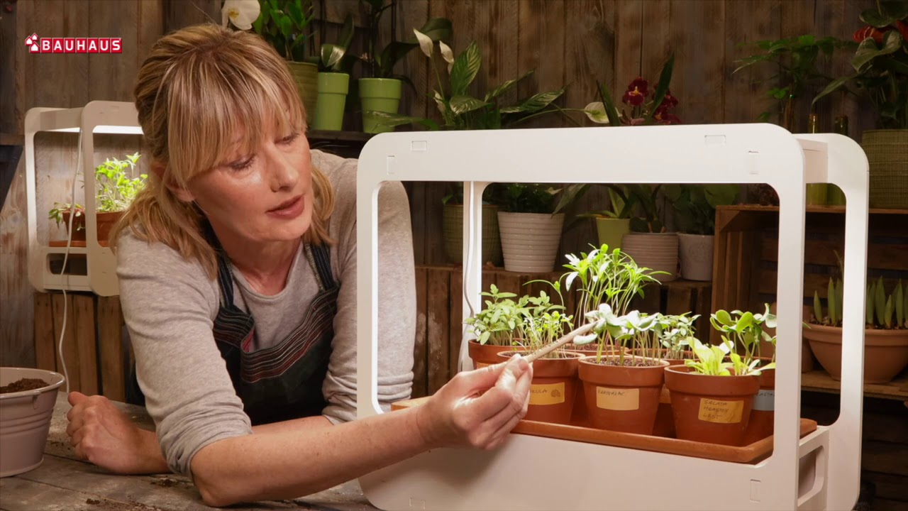 Škola vrtlarstva - uz najljepše želje u novoj godini
