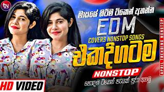 2026 අලුත්ම ජනප්‍රියම වයිරල් සිංදු ටික | New Hit Sinhala Collection | Trending Songs | Sinhala Songs