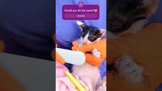 Saving A Tiny Kitten From Trash Gone Succesfull😍😻#Cat #Kitten #Pets