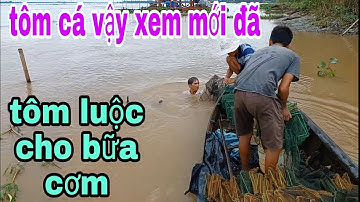 Thăm 12 Cửa Ngục Mùa Nước Lũ Và Món Tôm Càng Xanh Luộc Ngon Lành # SĂN BẮT ĐỒNG THÁP #