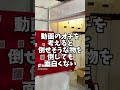狙い撃て！射的【アスレチック】