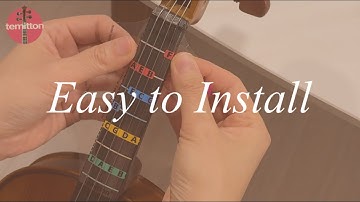 Easy Installation Guide | temitton™ Non-adhesive Violin Finger Guide