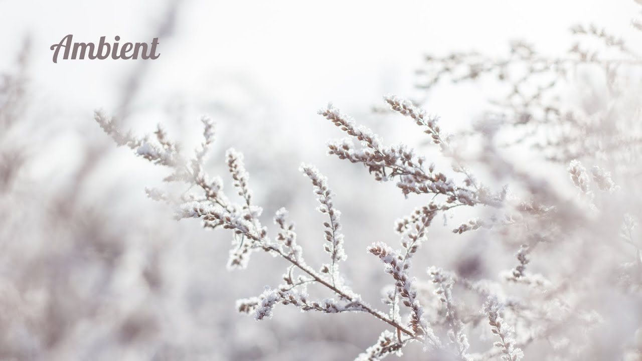 Quiet Moments | Winter Ambient Music for Relaxation, Focus & Sleep
