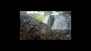 Wide Angle Shot Of Gidagi Water Fall Behind The Tree