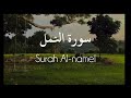 سورة النمل للقارئ إسلام صبحي /Surah Al-naml islam sobhi.
