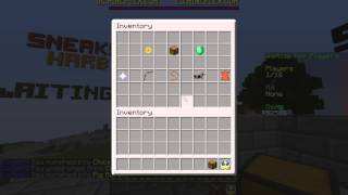 Morph Fly Glitch