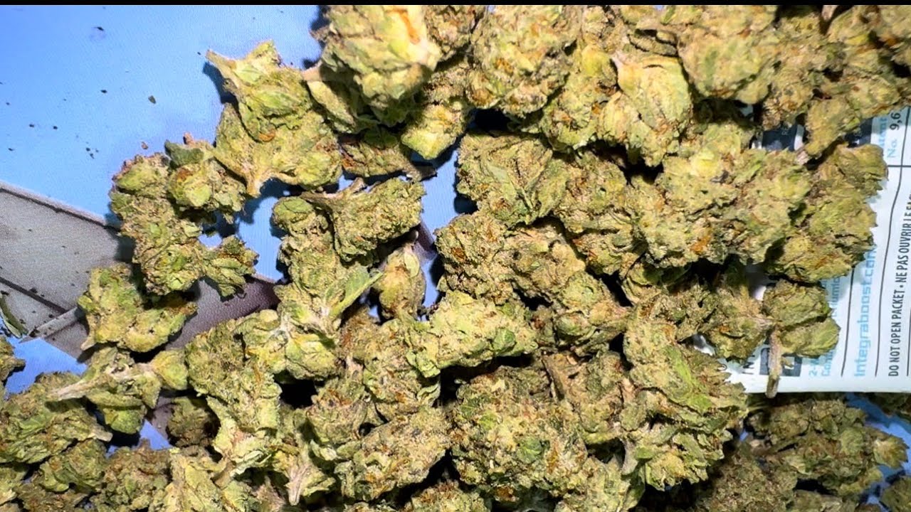 JK Distro CA-7 Strain Review 🔥 $32 an O THCA—Budget Banger or Mid Pack?