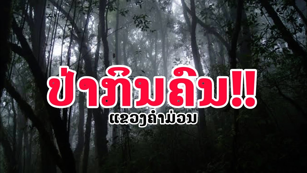 ເລື່ອງລາວ ''ປ່າກິນຄົນ'' ແຂວງຄຳມ່ວນ!