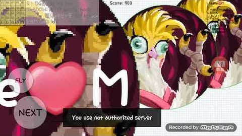 Blob,self feed,first time must watch!!!