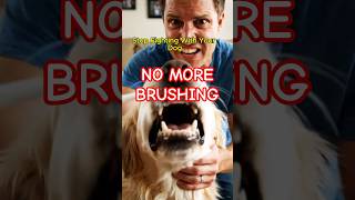 Still Struggling To Brush Your Dog's Teeth? 🐶