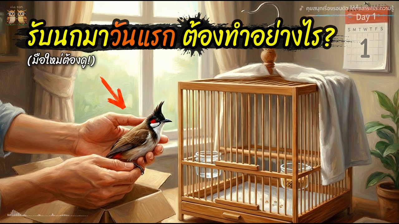 คู่มือช่วยชีวิต! 24 ชั่วโมงแรกของ 