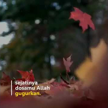 Buat story WA Qiroah merdu