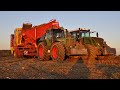 Zbir cebuli 2022 w gr matejka x3 fendt  grimme  agro dawid team 