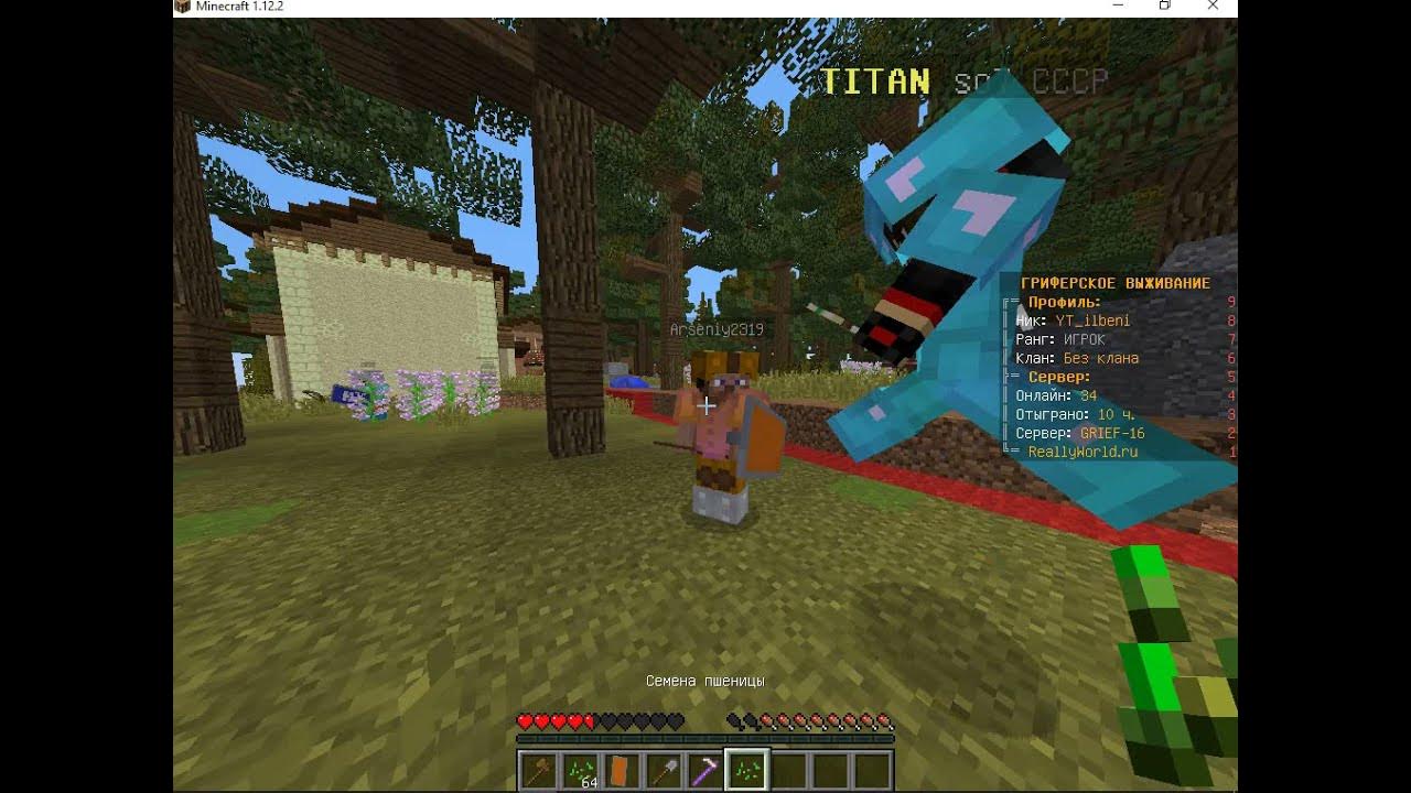 Домер майнкрафт. Сервер домера в майнкрафт. На какой версии играет домер. Айпи сервера домера. Сервер домера в майнкрафт.