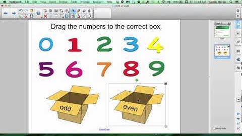 Smart Notebook: Grouping