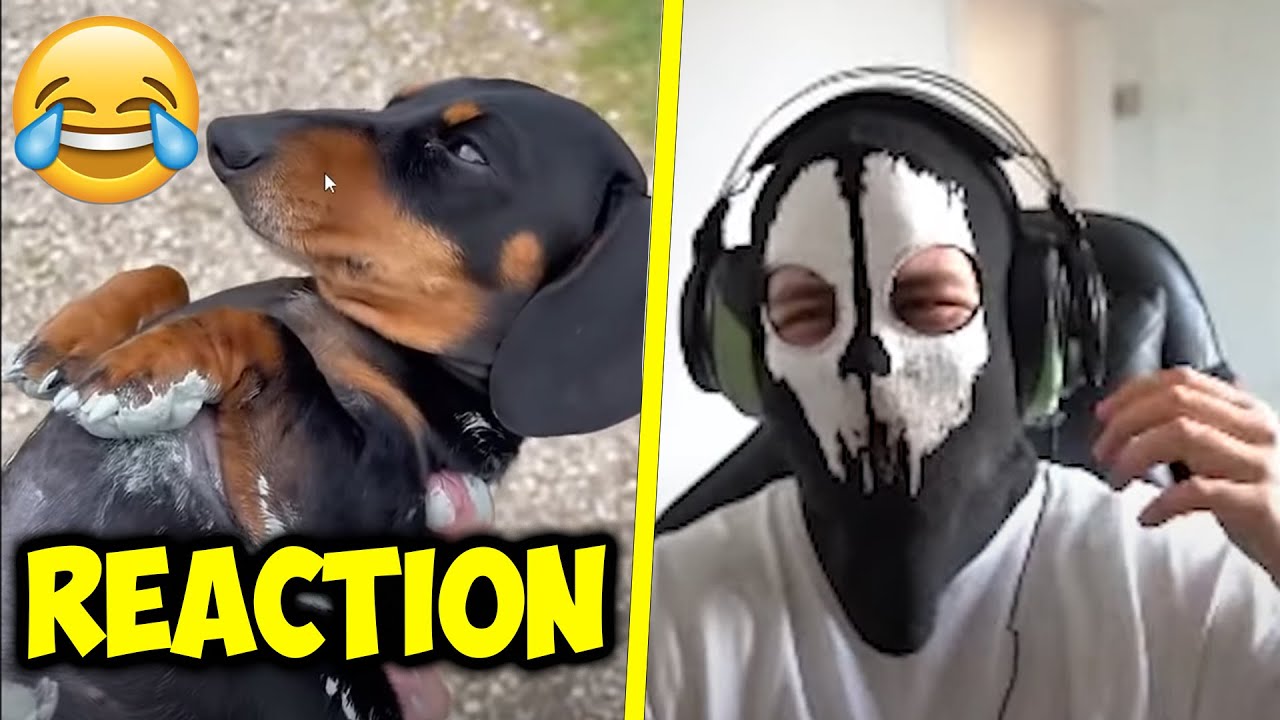 MOJI REAGIERT auf UNUSUAL MEMES😂