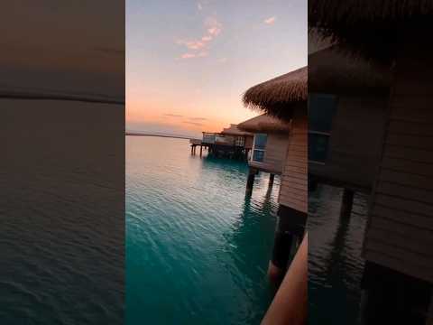 استمتع بالأجواء الاستوائية في منتجع جزيرة البنانا الدوحة بإدارة أنانتارا قطر