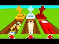 Minecraft PE : DO NOT CHOOSE THE WRONG GRAVE! (Spongebob, Among Us & SCP 173)