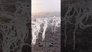 Why Frost Forms on the Ground But Not in the Air