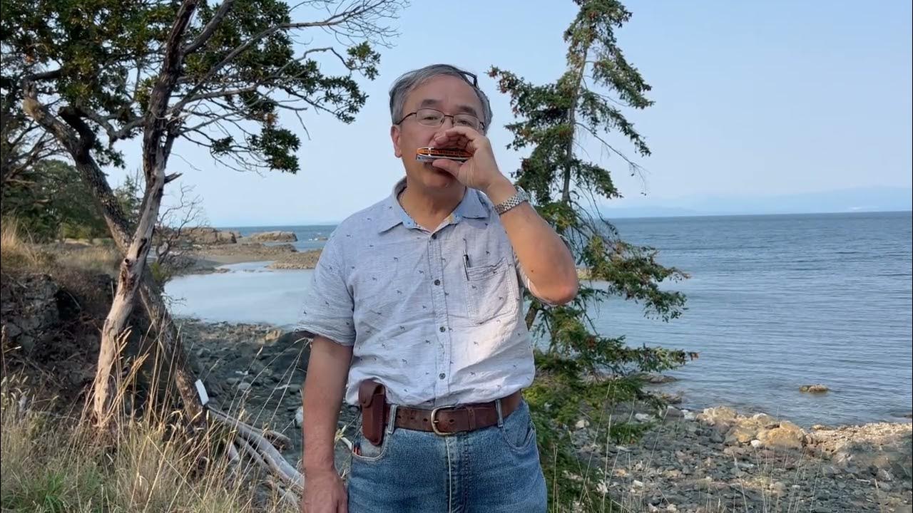 Hey Jude Diatonic Harmonica YouTube