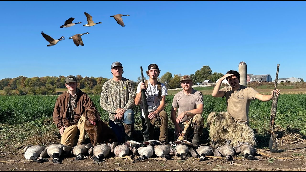 ОХОТА НА ГУСЕЙ на кукурузном поле! (БОНУС: ДЕРЕВЯННЫЕ УТКИ)