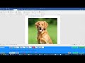Exam3 Projects9 MOS Word 2016 (x5 Task)