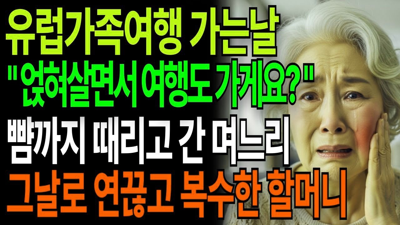 유럽가족여행 가는날 '얹혀살면서 집이나봐요' 뺨까지 때리고 간 며느리, 그날로 연끊고 복수한 할머니 고부갈등 고부사연 시니어사연 오디오북 인생사연 실화사연 며느리 노후사연