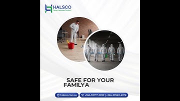 Pest Control That Fits Your Budget And Exceeds Expectations