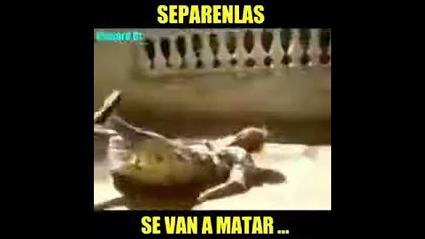 23 de abril de 2016