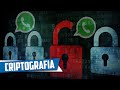 Criptografia de Ponta a Ponta no WhatsApp: Como Funciona e Como Ativar 🔒