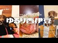 【犬連れ旅行静岡伊豆宿】愛犬と泊まれる温泉宿「ゆるり西伊豆」さんでおじさんの不機嫌がなおった!1泊2日わんこ旅2/3 2024.11