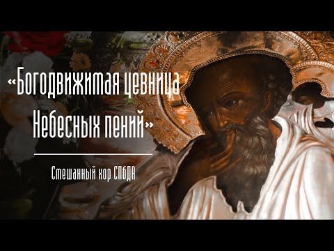 Стихира «Богодвижимая цевница Небесных пений». Смешанный хор СПбДА