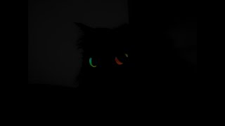 The Void Looks Back - (mostly) original Breakcore track