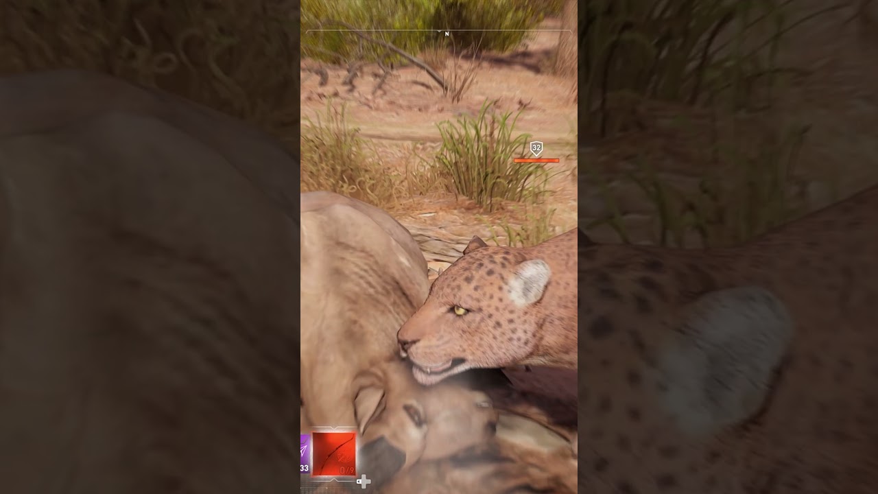 Magic Arrow Goes Through a Leopard’s Head 