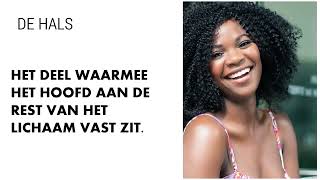 Groep 3 Woordenschat CITO begrijpend lezen vergroten; Thema HET LICHAAM lijst leren en oefenen