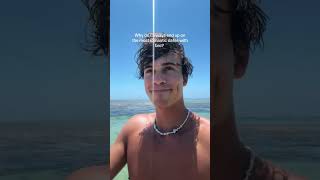 Like Lunch In The Ocean Together?