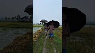 rainy day fishing #fishing