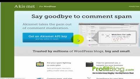 Akismet Wordpress Plugin - Stop Spam Blog Comments