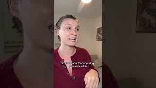 Replying to @thatashhh#greenscreen #vet #vetclinic #customerservice #dogs #vettechlife #story