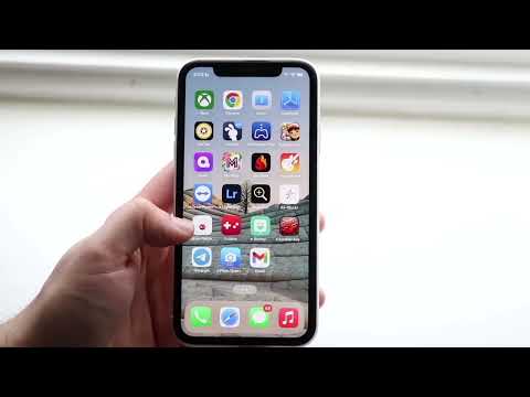 How Is The iPhone 11 Still This Good?