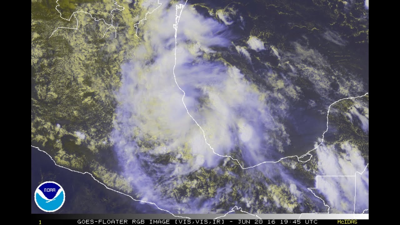 2016 : Tropical Storm Danielle ∙ 04L
