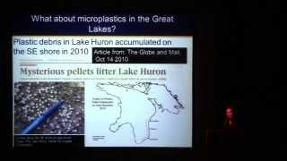 An Ecological Perspective on Microplastics in the Great Lakes