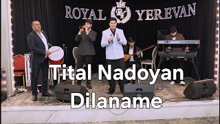 Tital Nadoyan - Dilaname (New 2026)