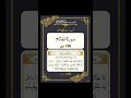 Shab e Barat ki ibadat ka Wazifa 💕| #shabebarat#islamic#ibadah#surahfatah#fatih#dua#forgive#pray