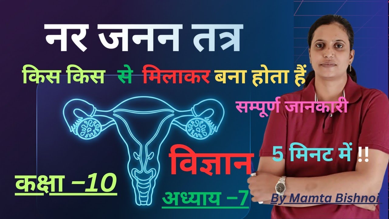 नर जनन तंत्र: संरचना और कार्य | Male Reproductive System in Hindi | Class10Biology |  MAMTA BISHNOI 