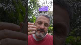 Pilares do Reiki Usui www.reikipro.wordpress.com #luisfeliperamosreiki
